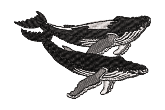 Review: Playful Whale Embroidery Design for Makers